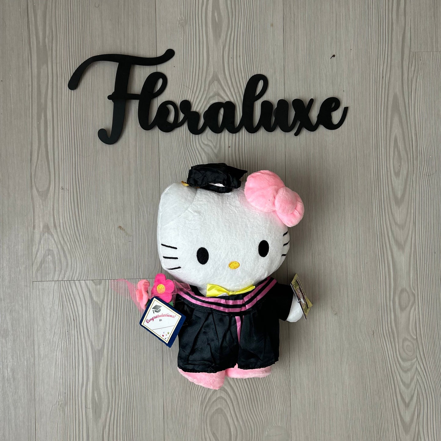 Graduation HK Plushies